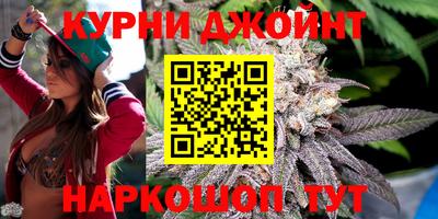 крисы Тулун