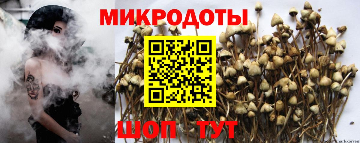 Галлюциногенные грибы Magic Shrooms Моздок