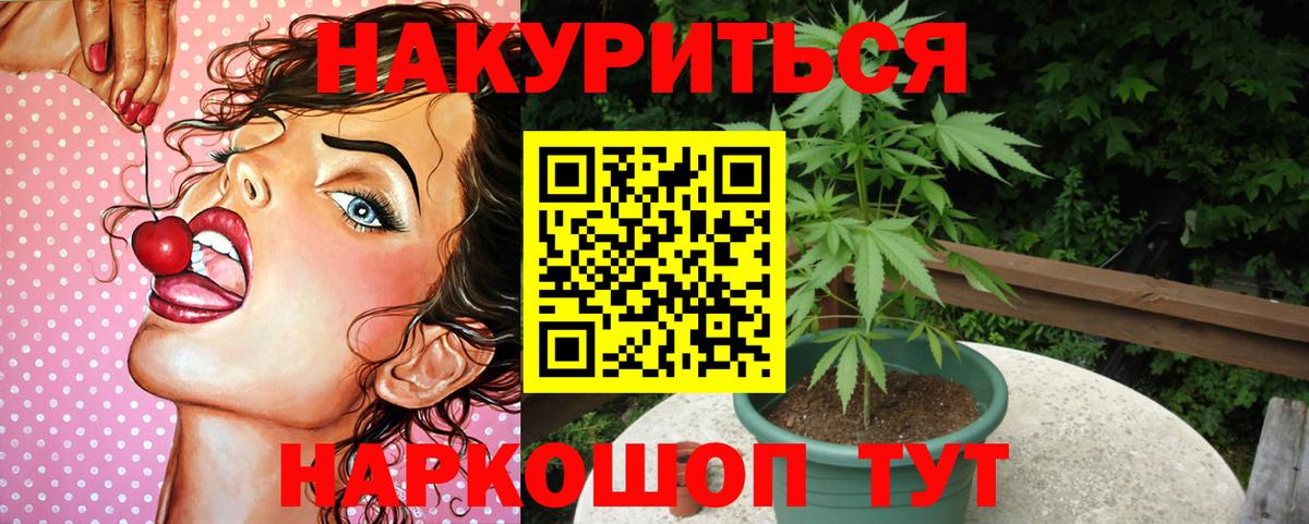 Бошки марихуана LSD WEED  Каннабис White Widow  Вход с VPN  Моздок  Каннабис White Widow 